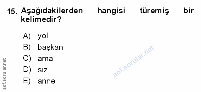 Soru 15