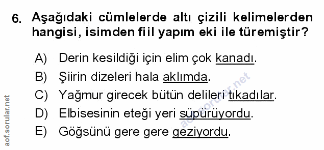 Soru 6
