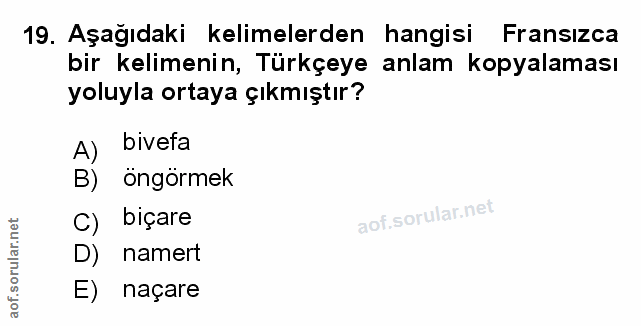 Soru 19