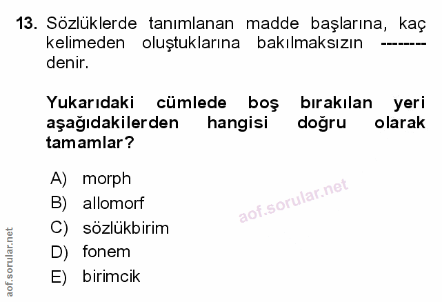 Soru 13