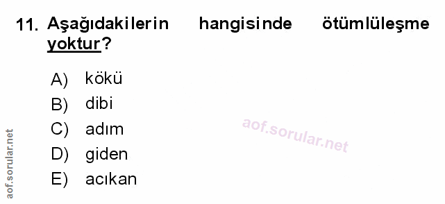 Soru 11