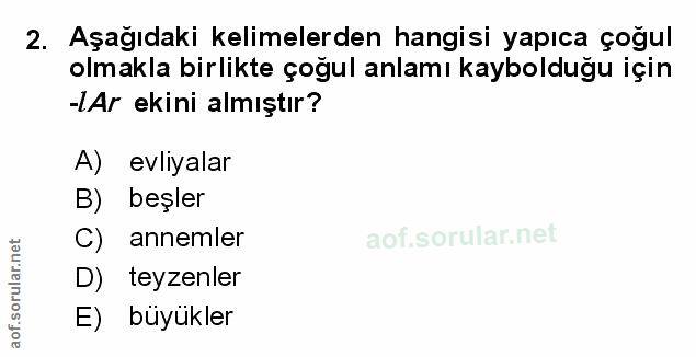 Soru 2