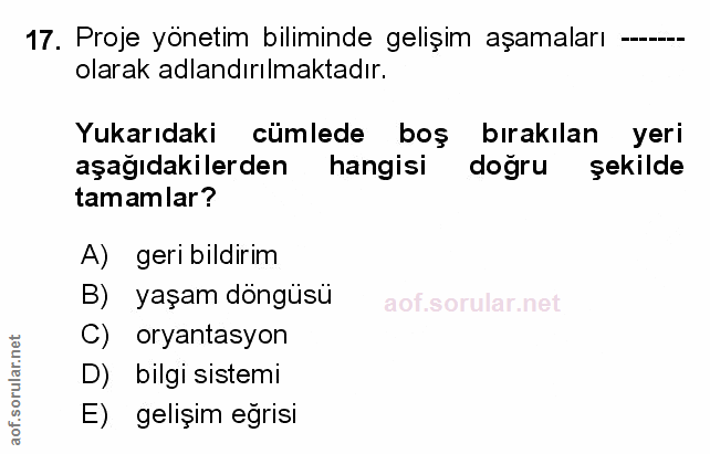 Soru 17