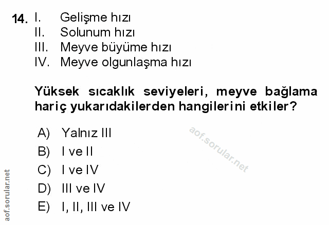 Soru 14