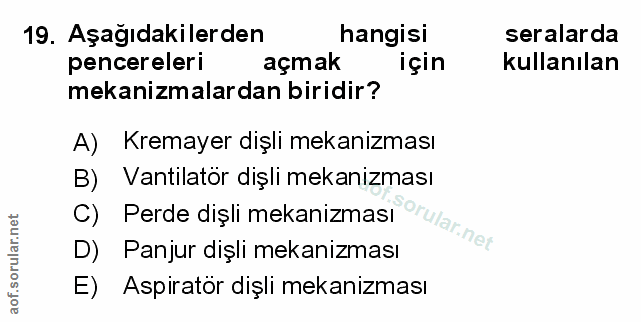 Soru 19