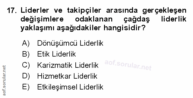Soru 17