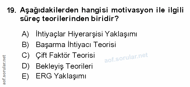 Soru 19