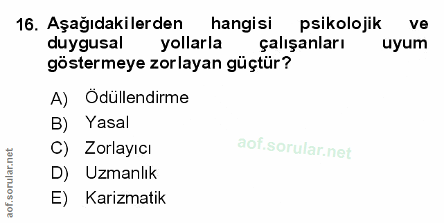 Soru 16