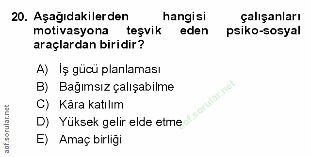 Soru 20