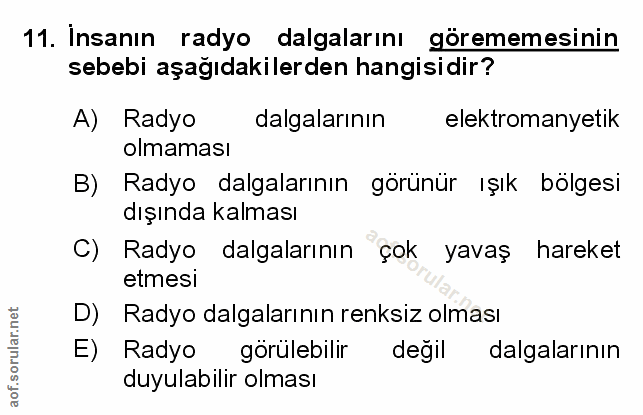 Soru 11