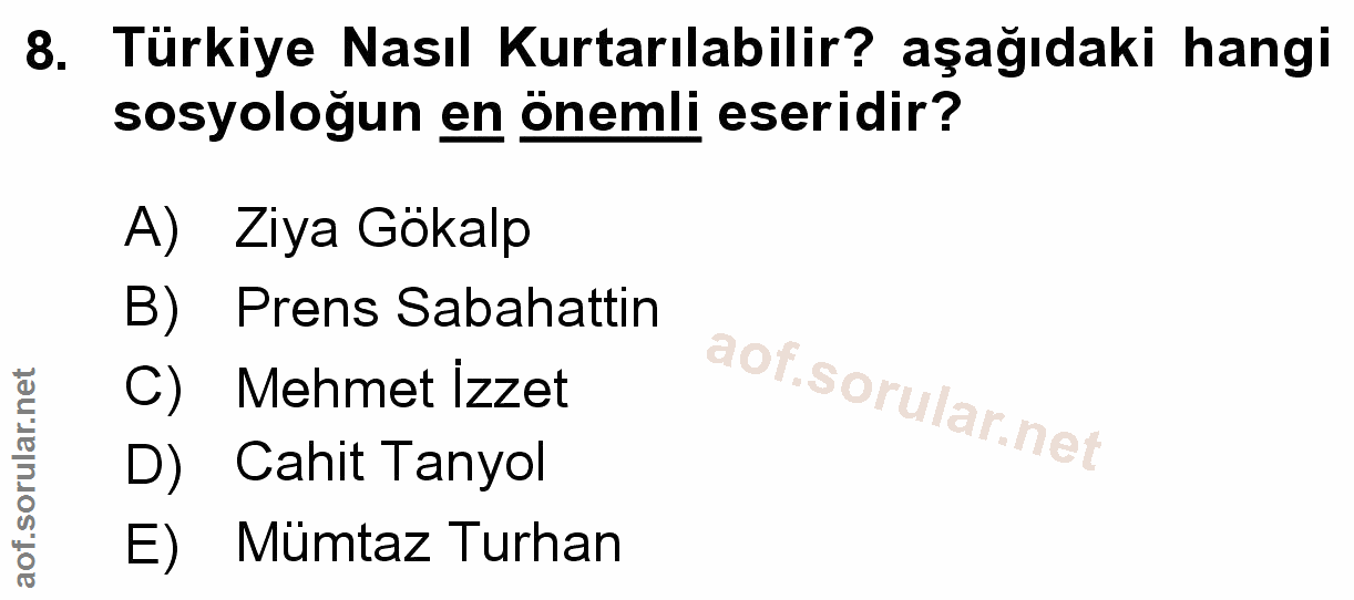 Soru 8