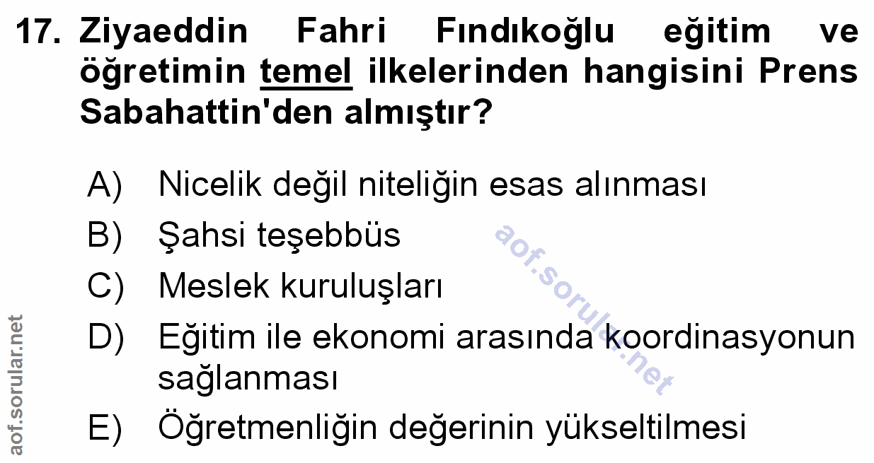 Soru 17