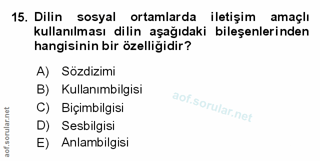 Soru 15