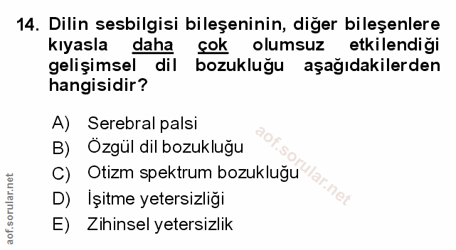 Soru 14