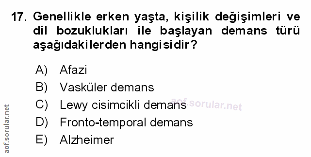 Soru 17