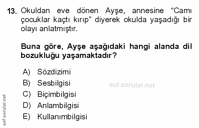 Soru 13