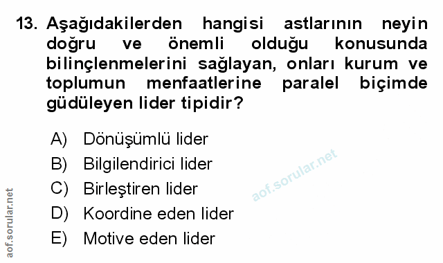Soru 13