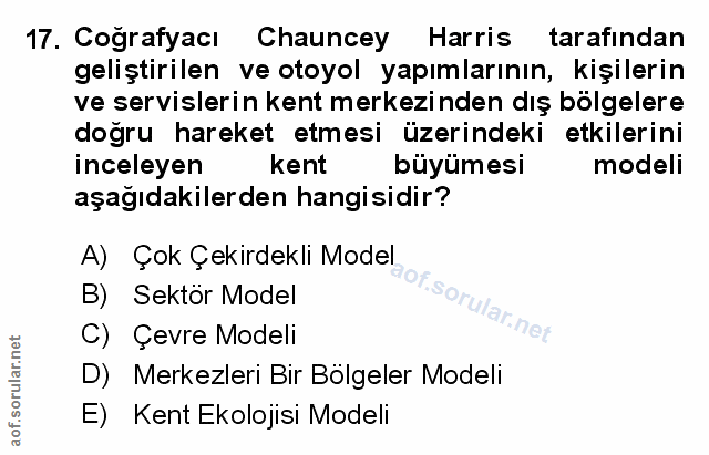 Soru 17