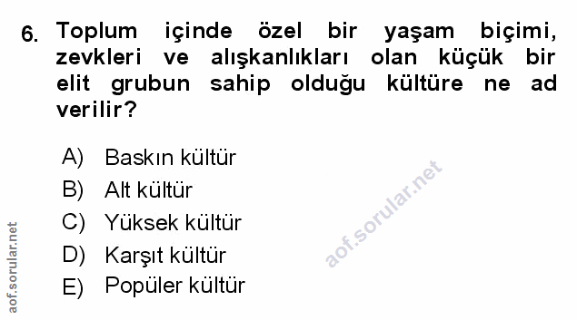 Soru 6
