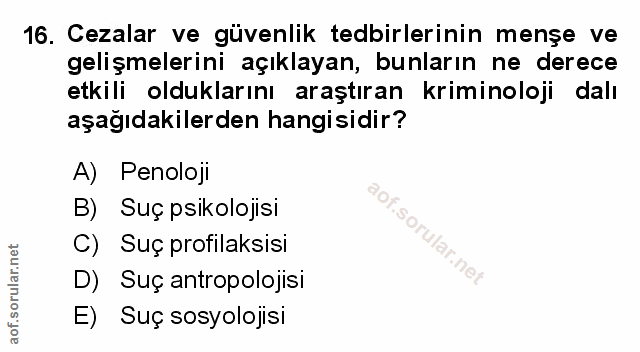 Soru 16
