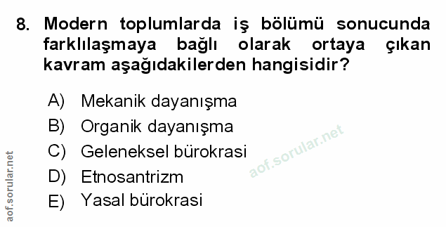 Soru 8