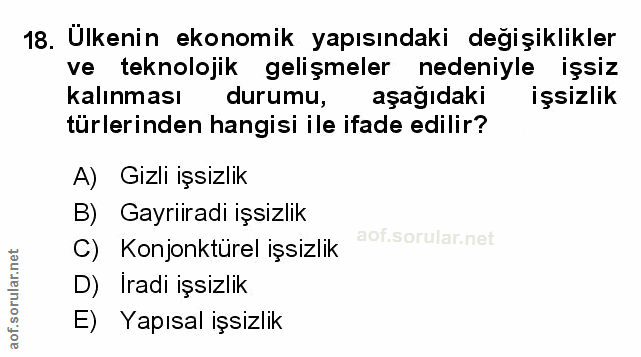 Soru 18