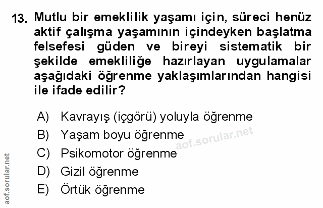 Soru 13