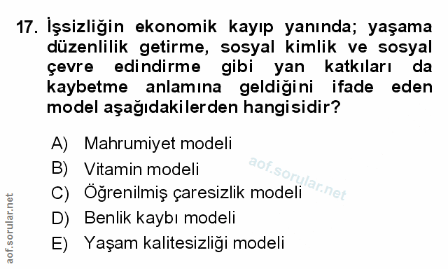 Soru 17