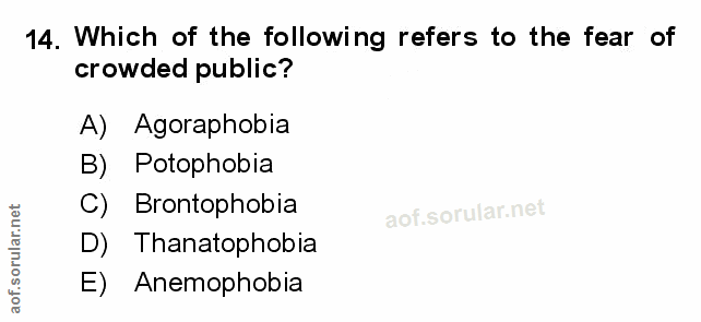 Soru 14