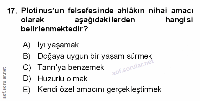 Soru 17