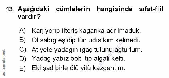 Soru 13