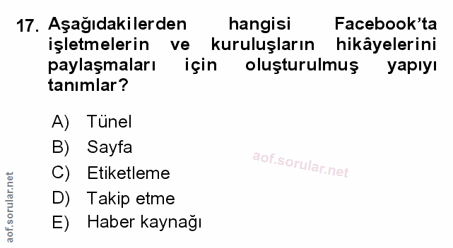 Soru 17