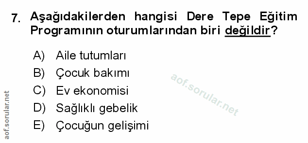 Soru 7