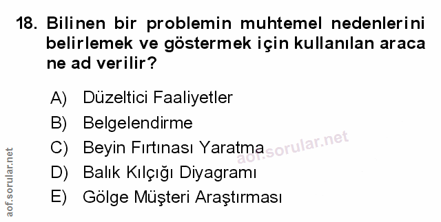 Soru 18