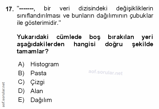 Soru 17