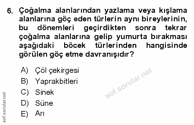 Soru 6