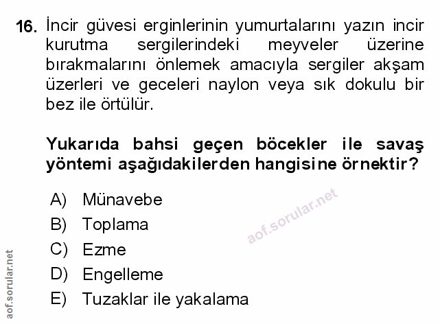 Soru 16