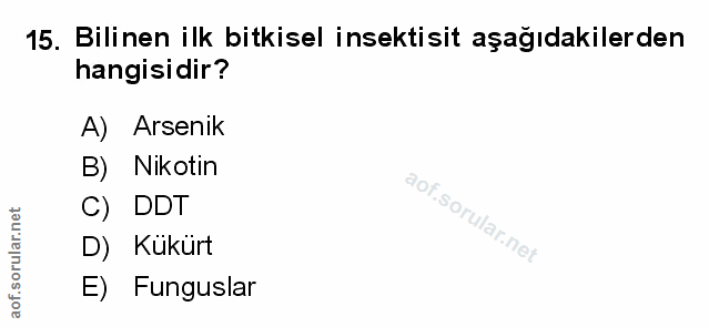 Soru 15