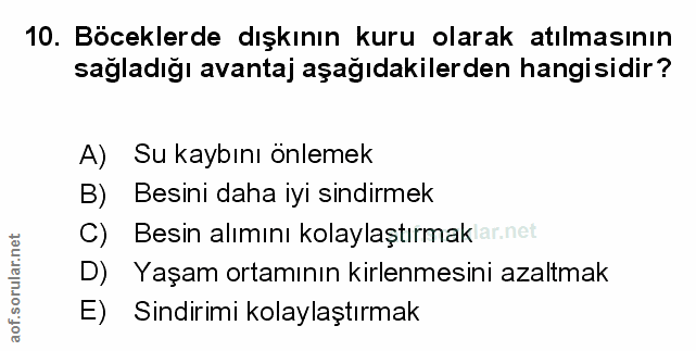 Soru 10