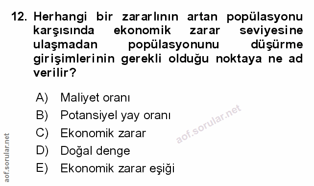 Soru 12