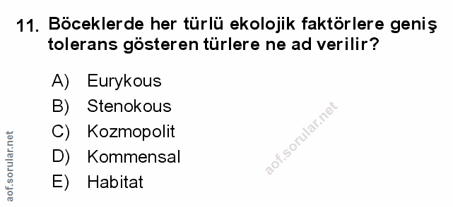 Soru 11