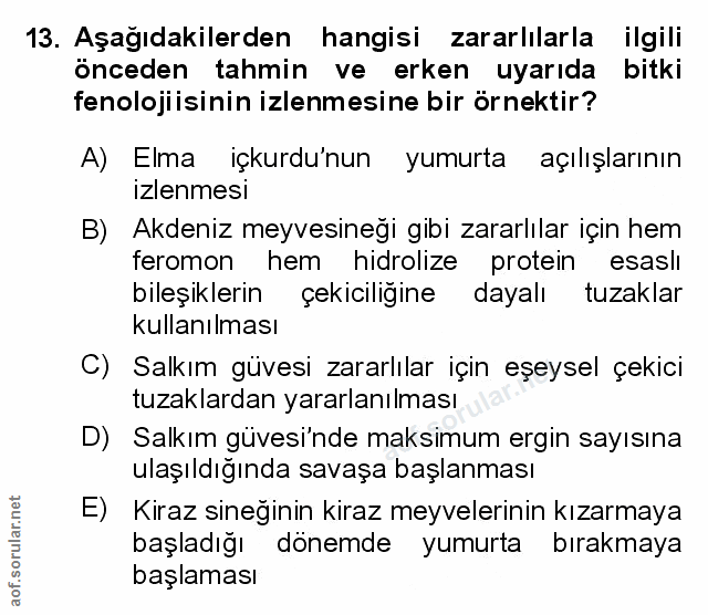 Soru 13