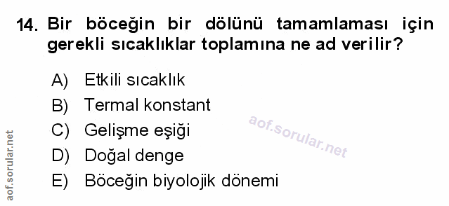 Soru 14
