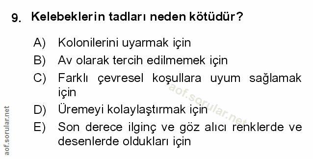 Soru 9