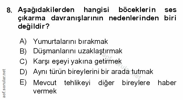 Soru 8