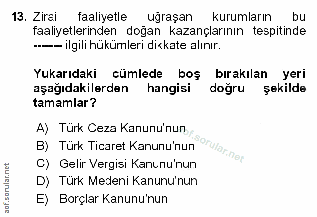 Soru 13