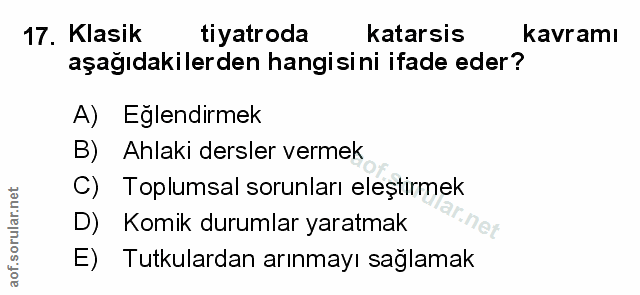 Soru 17