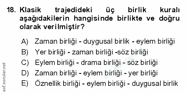 Soru 18