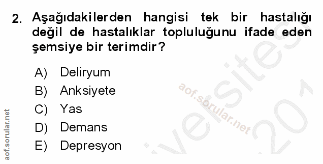 Soru 2
