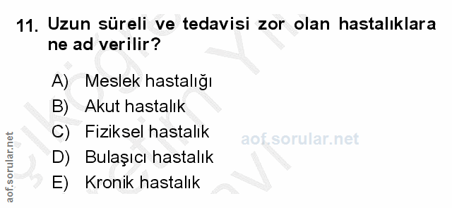 Soru 11
